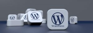 formation wordpress woocommerce